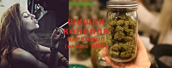 молекула духа Переславль-Залесский