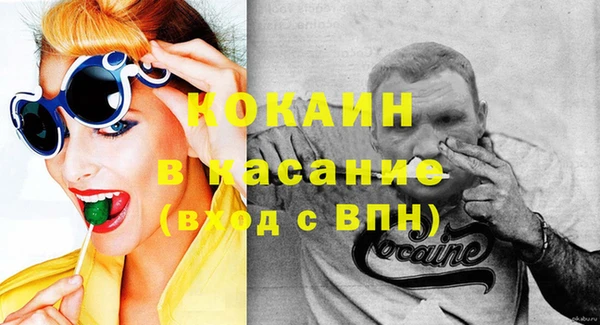 ГАЛЛЮЦИНОГЕННЫЕ ГРИБЫ Богданович