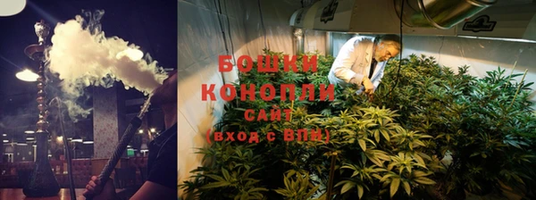 сатива Белоозёрский