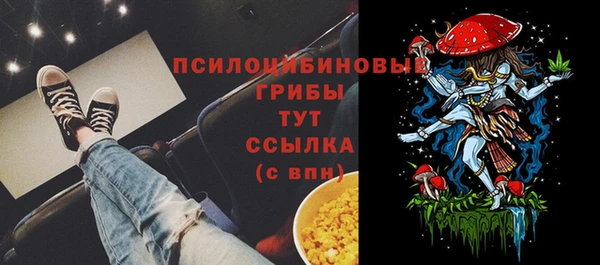 мет Пересвет